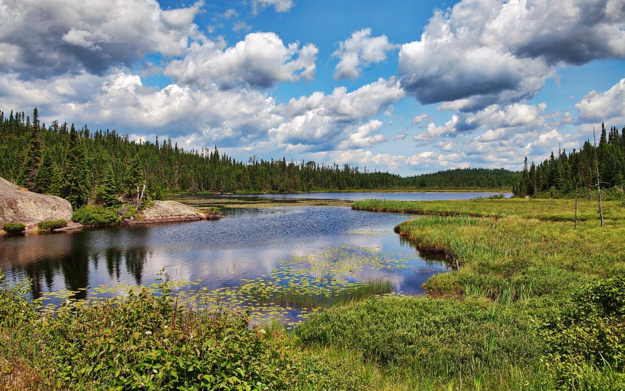 Scenic view of Algonquin Provincial Park with lush greenery and serene lake