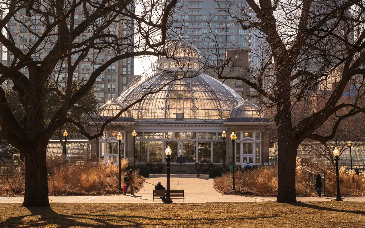 Botanical Beauty at Allan Gardens Conservatory