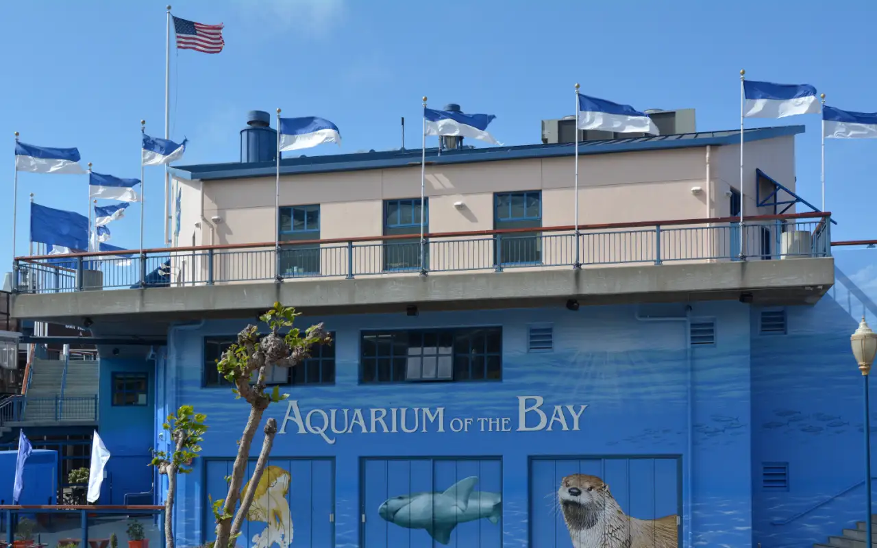 A vibrant underwater ecosystem at the Aquarium of the Bay, showcasing a diverse collection of marine life in crystal clear tanks