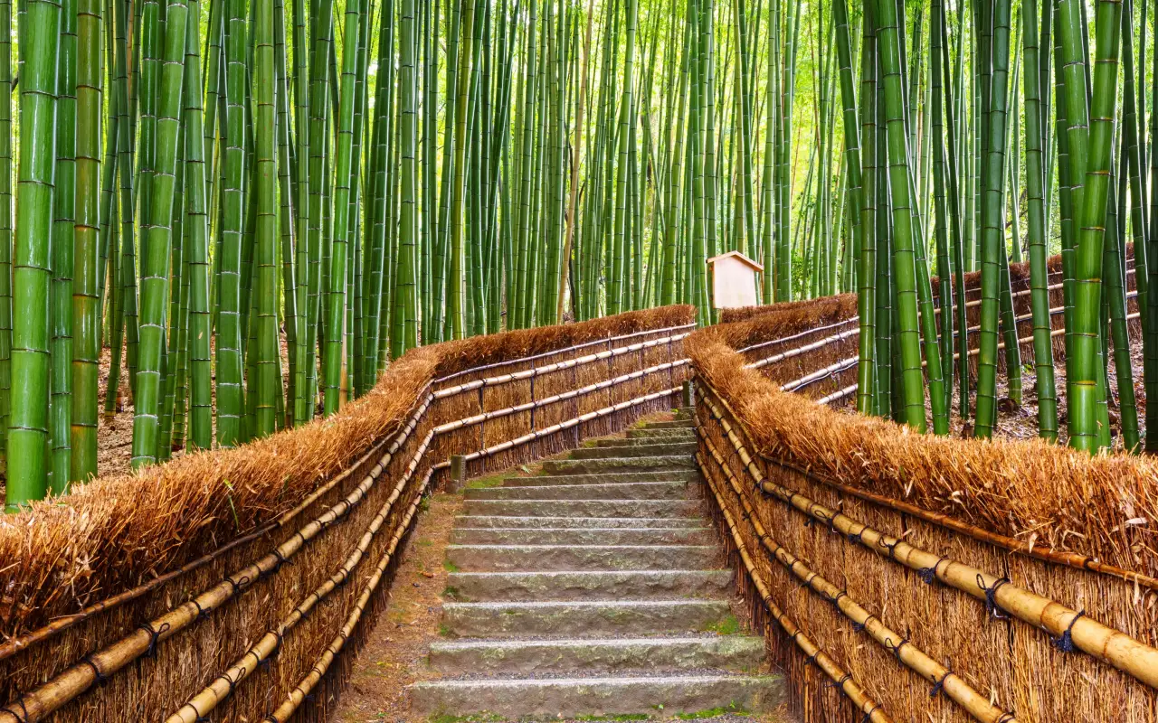 Stone stairway through Arashiyama Bamboo Forest in Kyoto