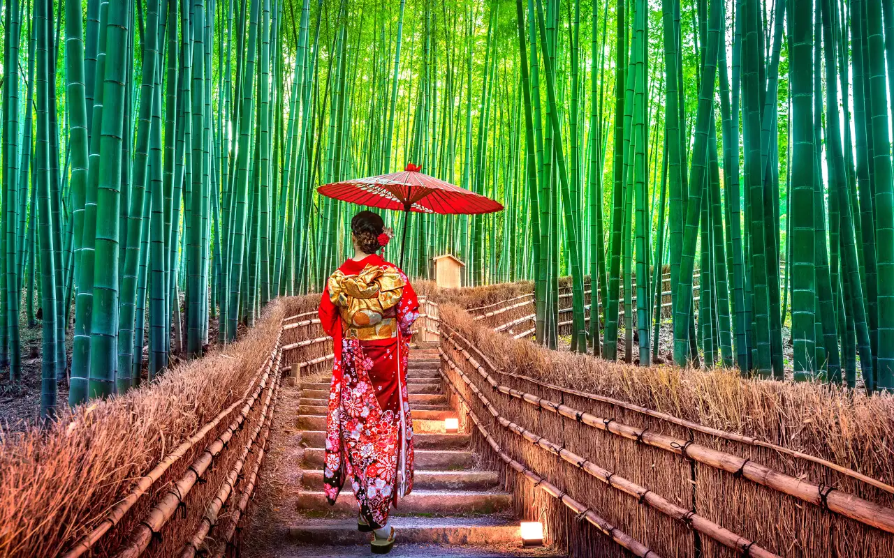 Woman in a traditional red kimono with a parasol walking through the lush green Arashiyama Bamboo Grove in Kyoto, Japan, along a scenic stone path lined with bamboo railings.