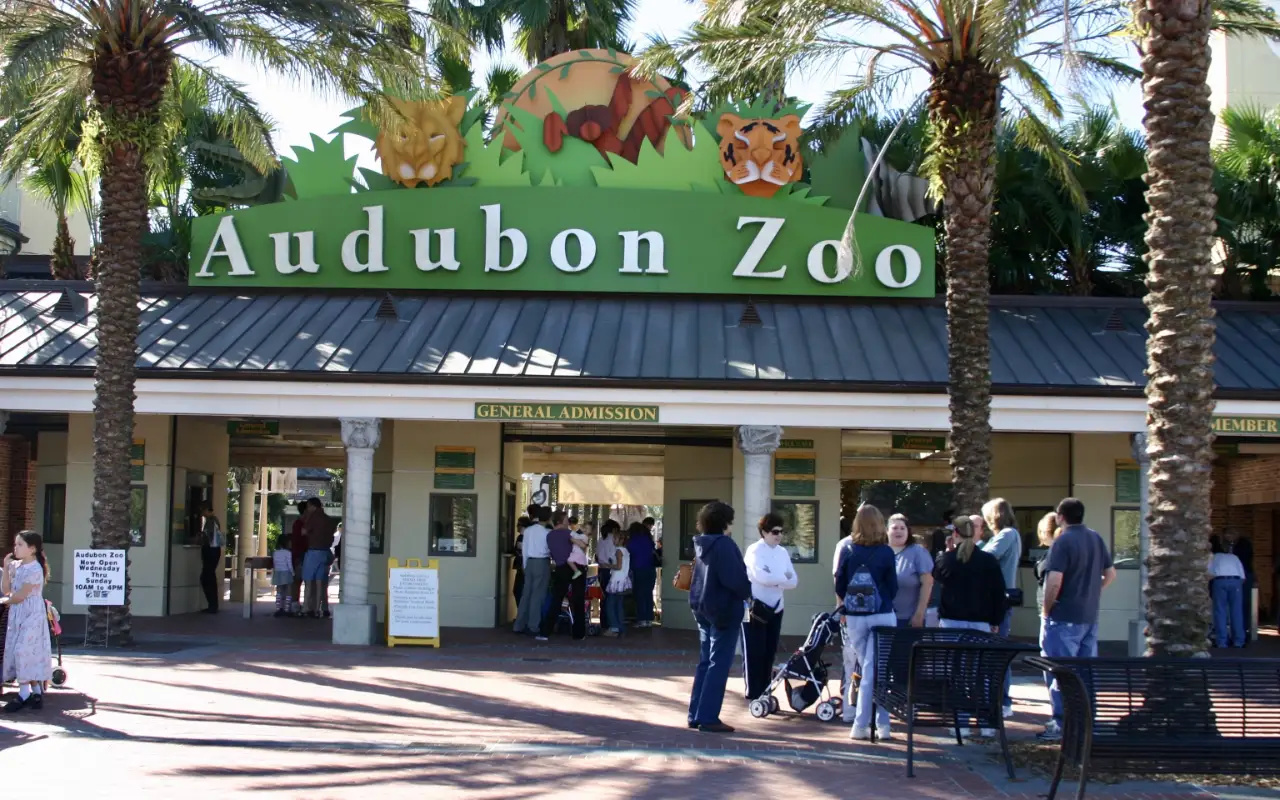 Explore the Audubon Zoo: Discover Wildlife in the Heart of New Orleans
