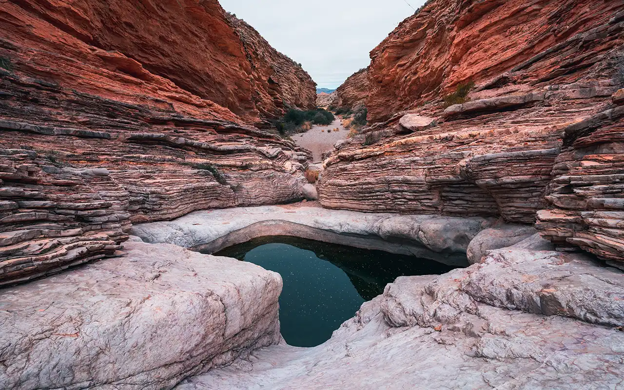 Desert Vistas of Big Bend National Park