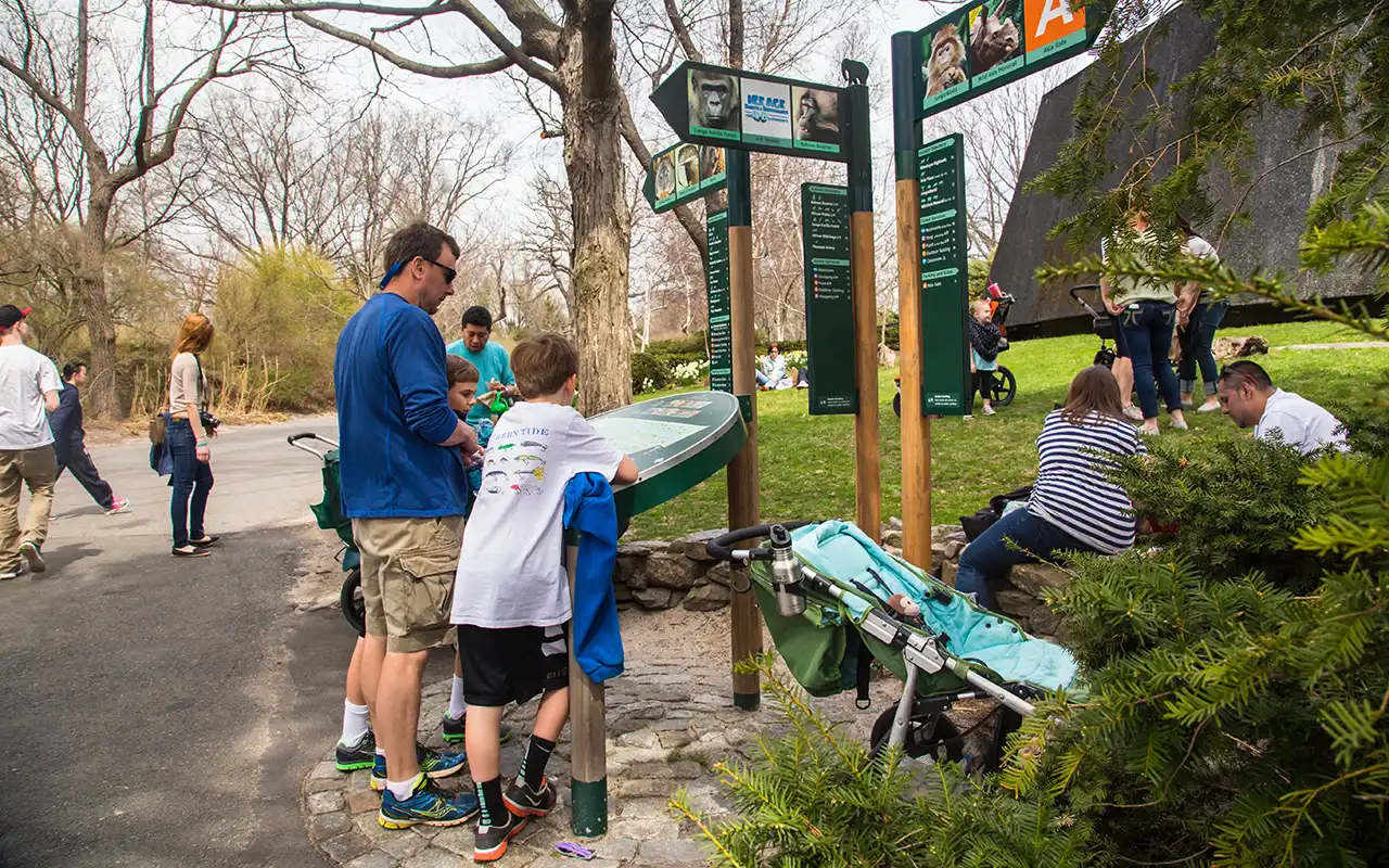 Various animals and visitors enjoying a sunny day at the popular Bronx Zoo in New York City
