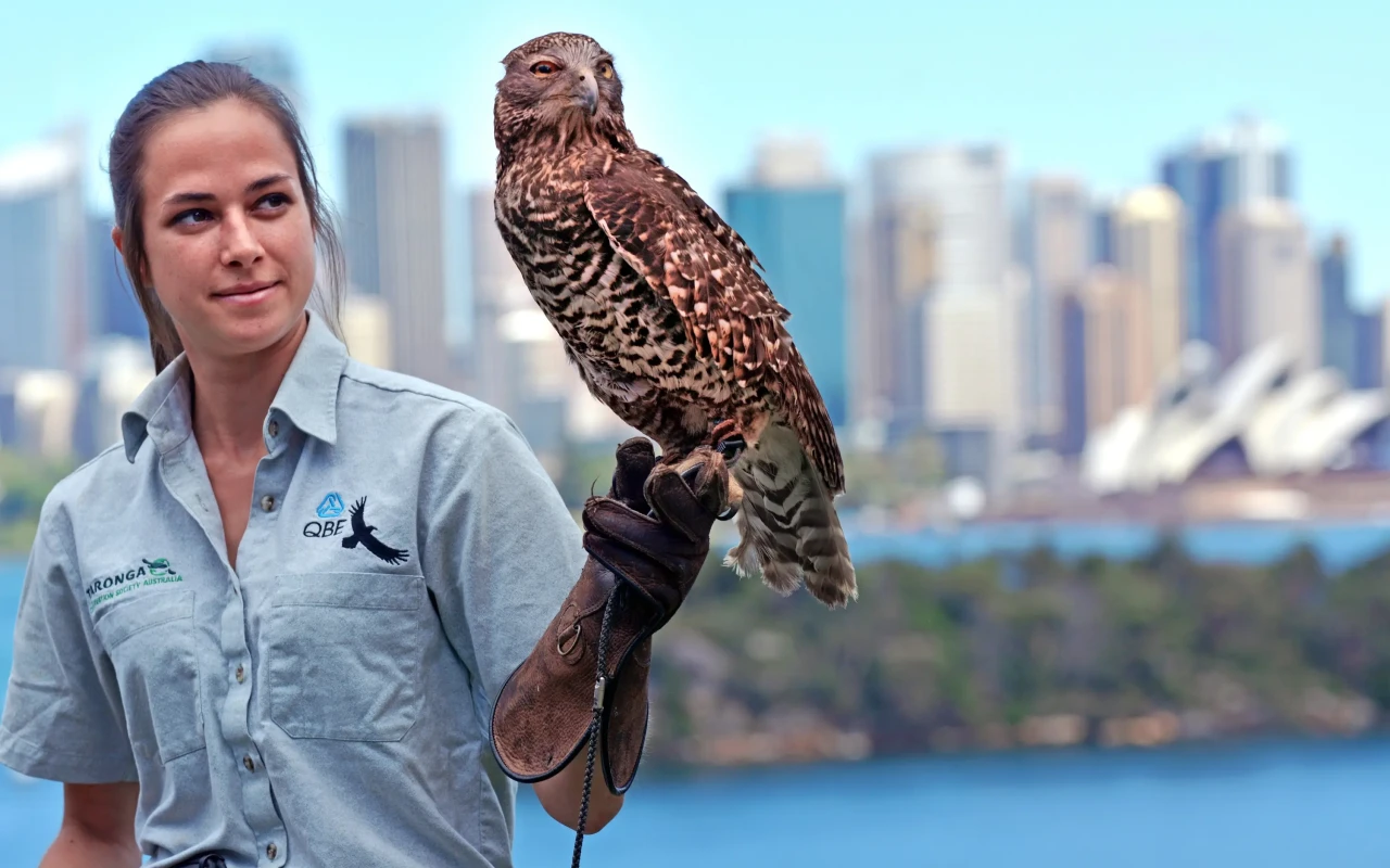 Visit Taronga Zoo: Experience Sydney's Leading Wildlife Attraction