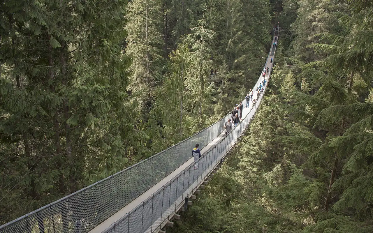 Capilano Suspension Bridge surrounded by lush greenery in British Columbia, Canada