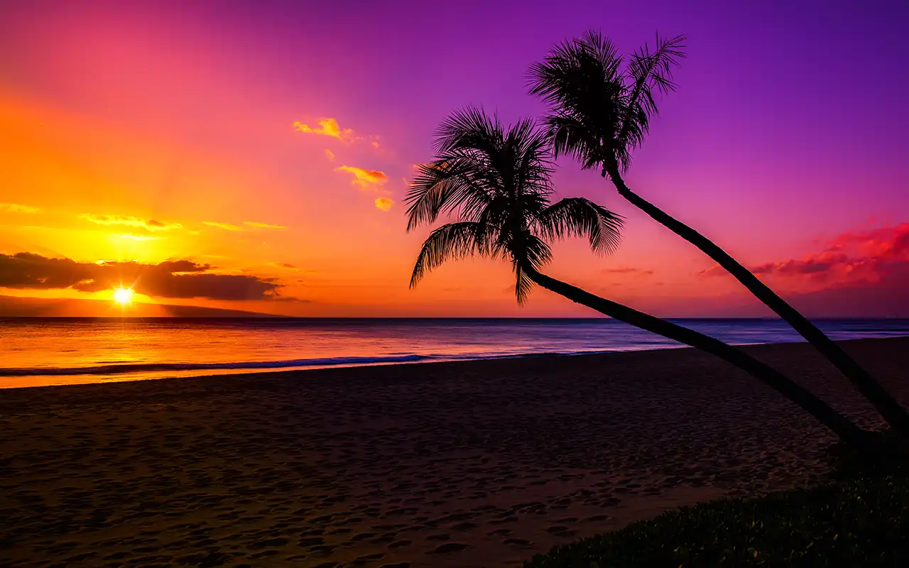 Tropical Caribbean beach with clear blue water, palm trees, and white sand shoreline, a perfect vacation destination.