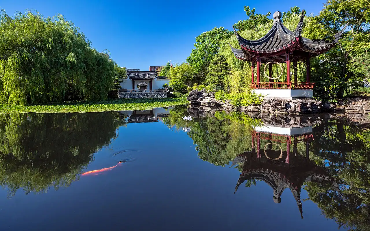 Tranquil Walks in Dr. Sun Yat-Sen Classical Chinese Garden