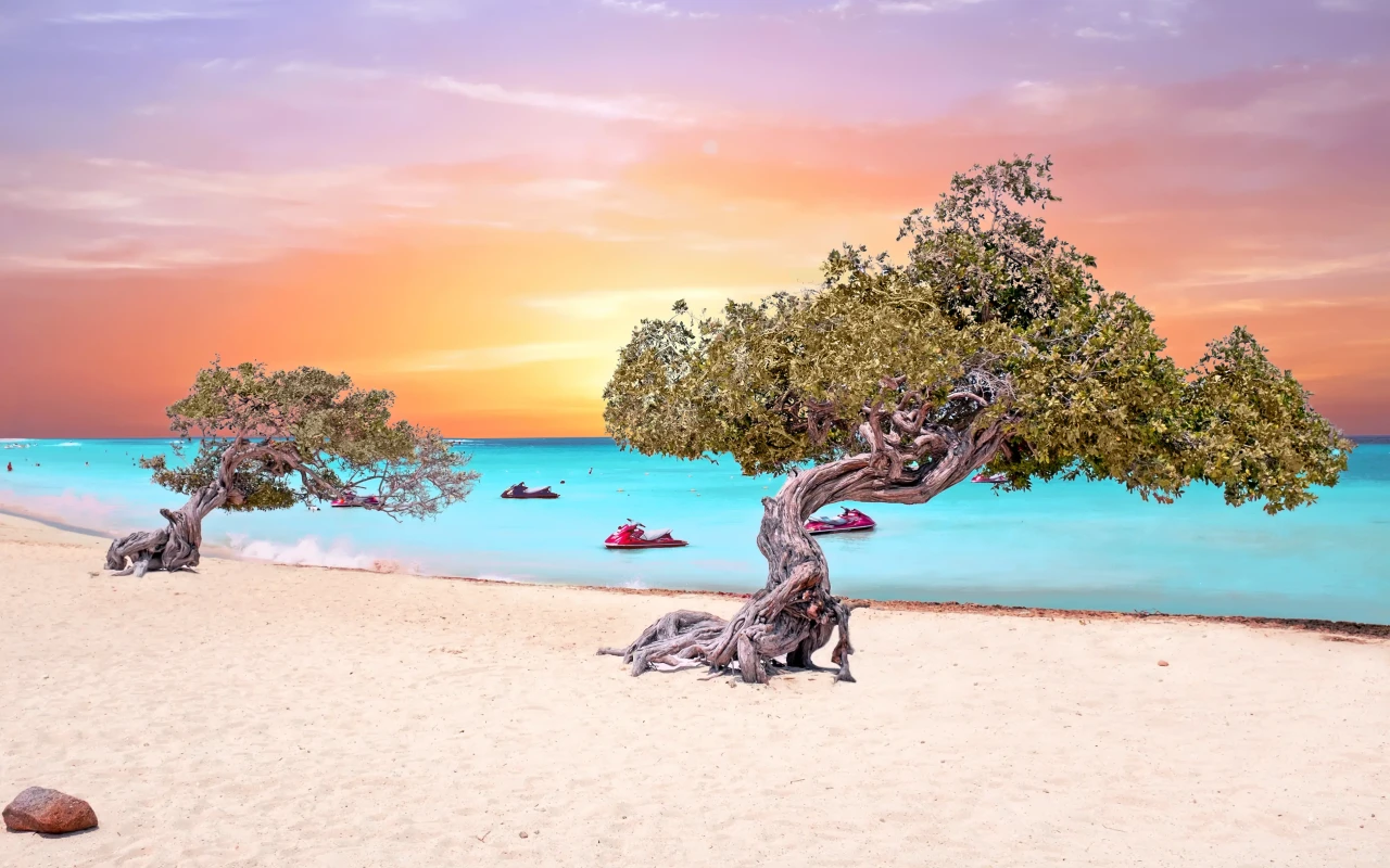 Visit Eagle Beach: Discover Aruba's Best White Sand and Clear Waters