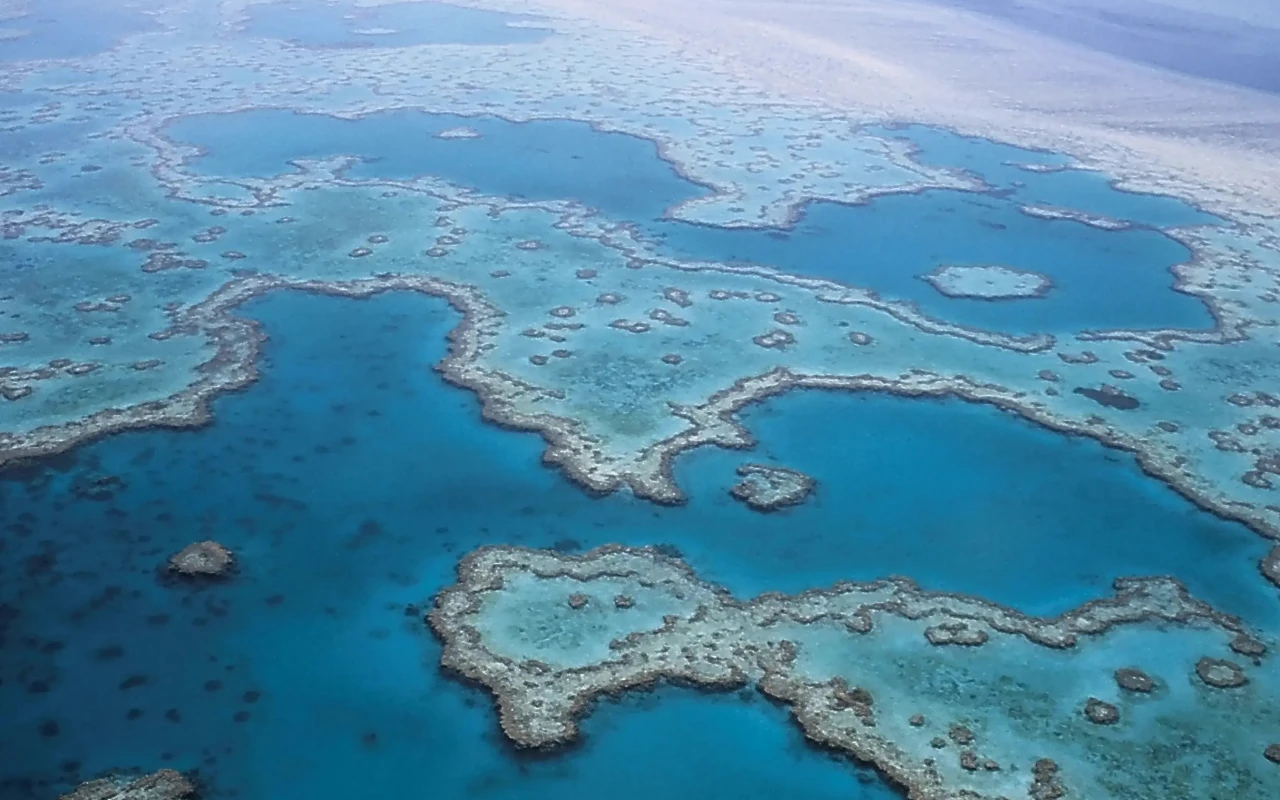 Aerial view of the vibrant and colorful Great Barrier Reef, showcasing its vast expanse and diverse marine life