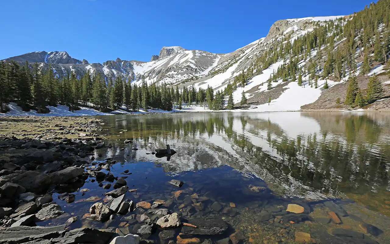 Starry Nights at Great Basin National Park