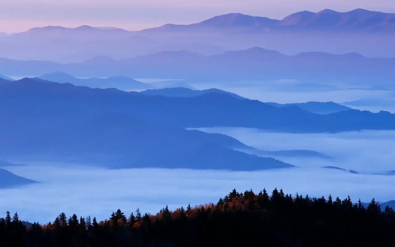 Scenic view of Great Smoky Mountains National Park with lush green forests and misty mountain peaks