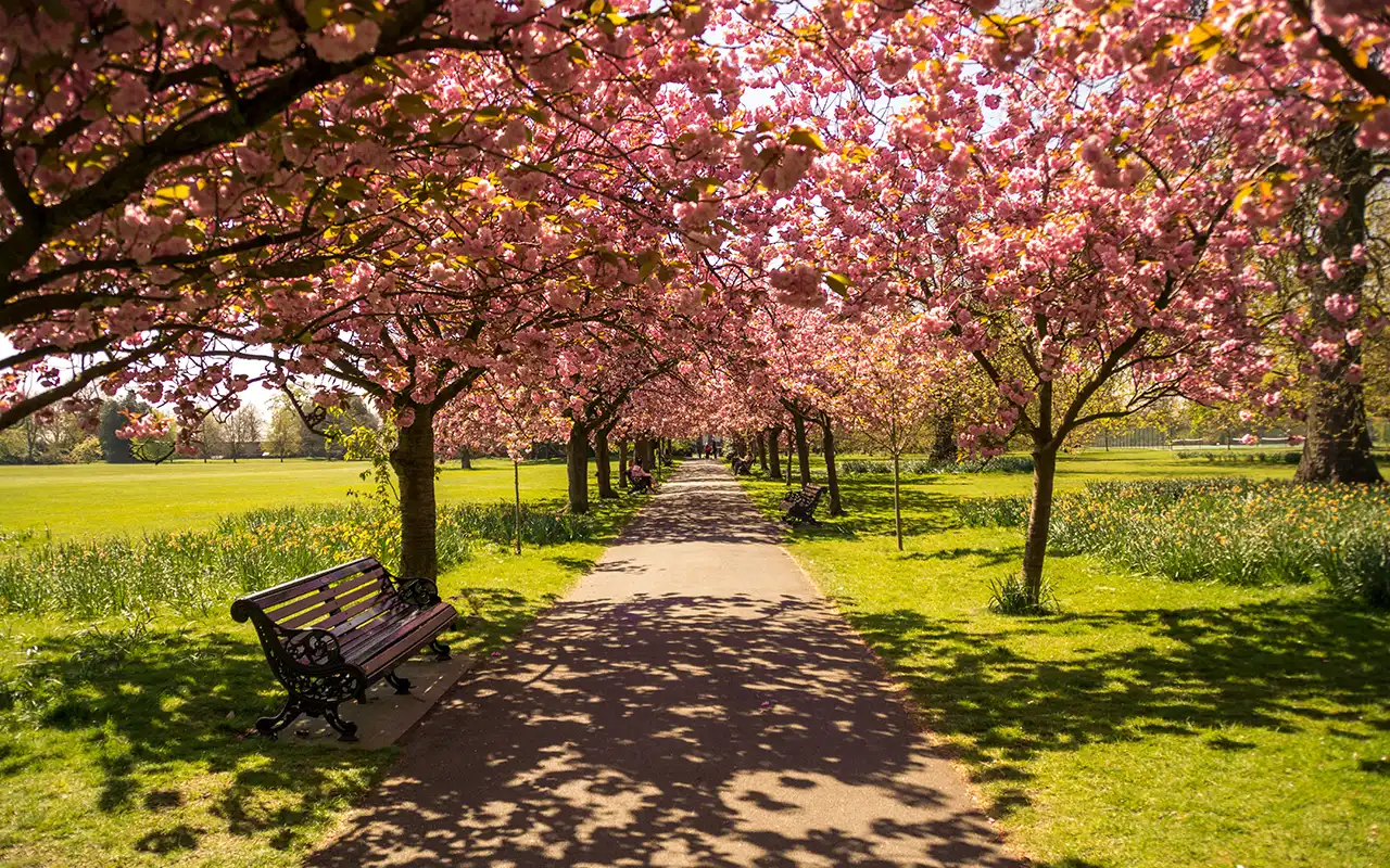 Hyde Park, green oasis in the heart of London with lush trees, beautiful flowers, and people enjoying leisure time