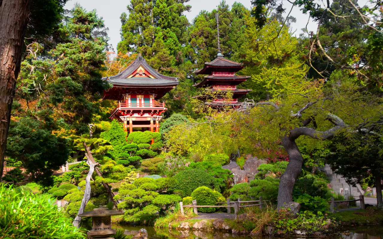 Serene Japanese tea garden with lush greenery, stepping stones, and a tranquil pond