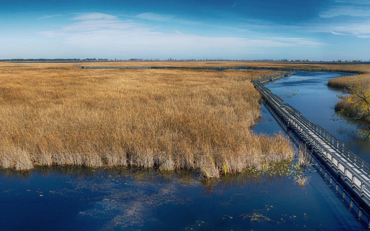 Scenic view of Kejimkujik National Park with lush green trees and clear blue lake