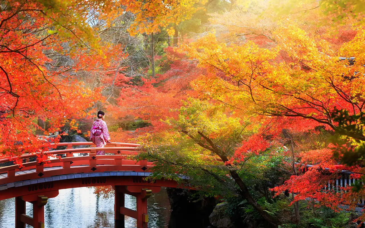 Scenic view of Kyoto city with traditional Japanese architecture and beautiful nature surrounding the area.