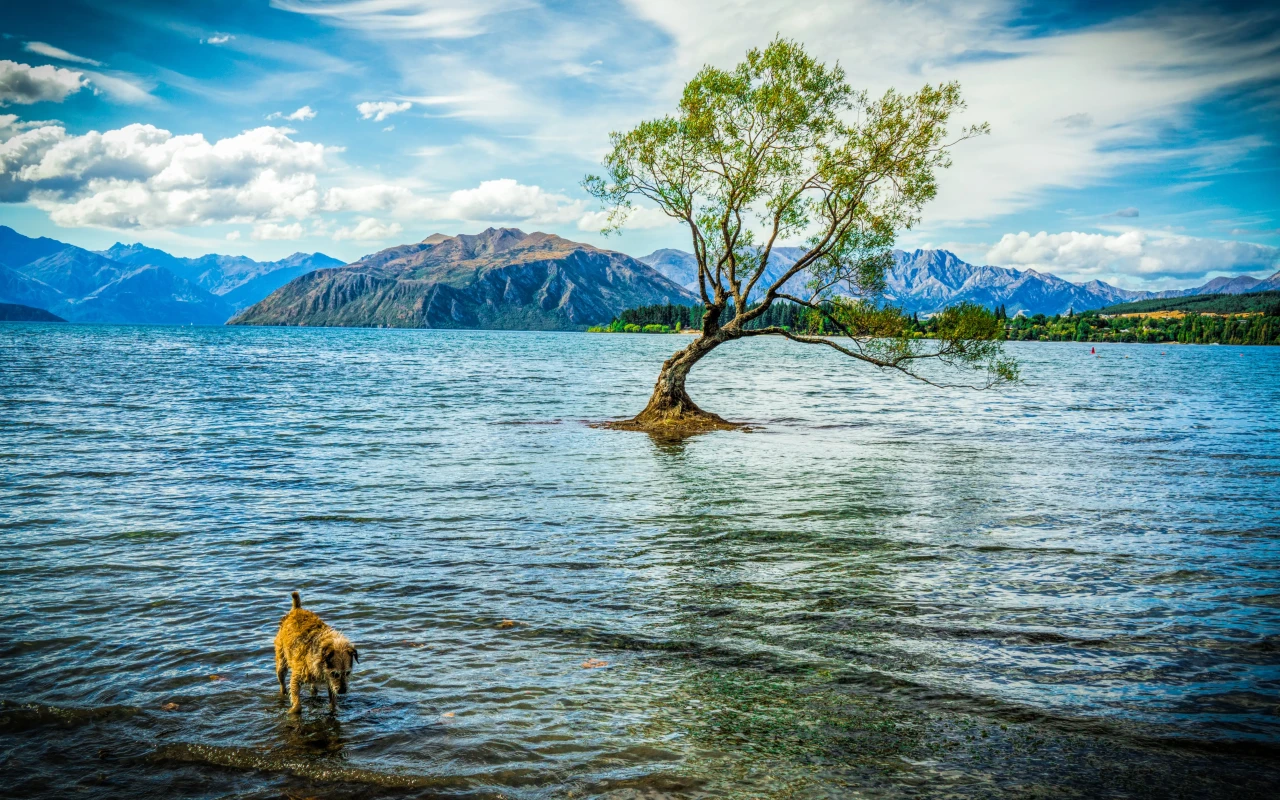 Serene view of Lake Wanaka with surrounding mountain peaks and clear blue water.