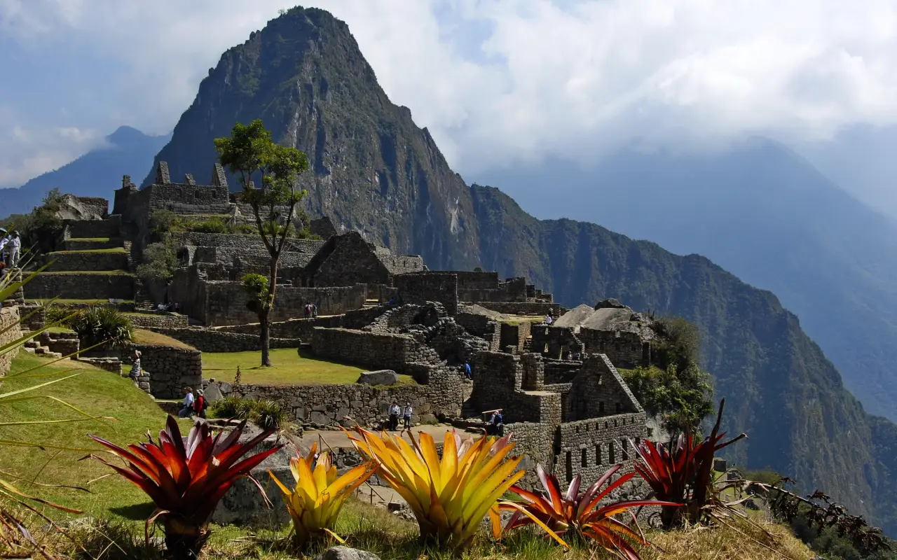 Machu Picchu ruins with vibrant flowers in the foreground and mountains in the background