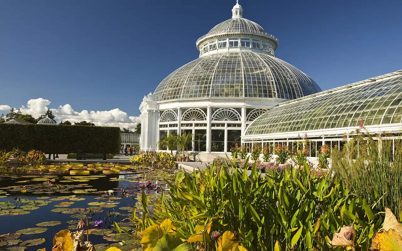 Stunning view of blooming flowers and lush greenery at the New York Botanical Garden