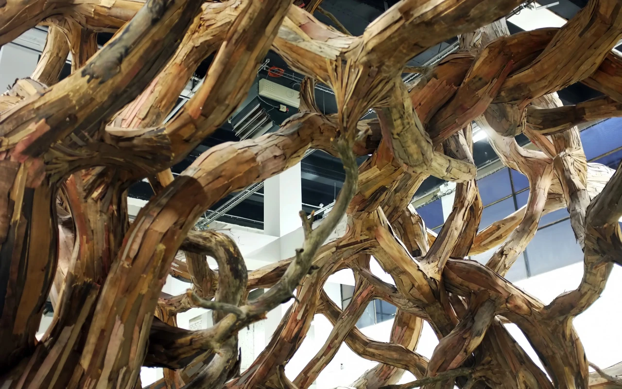 Visit the Palais de Tokyo: Explore Contemporary Art in Paris