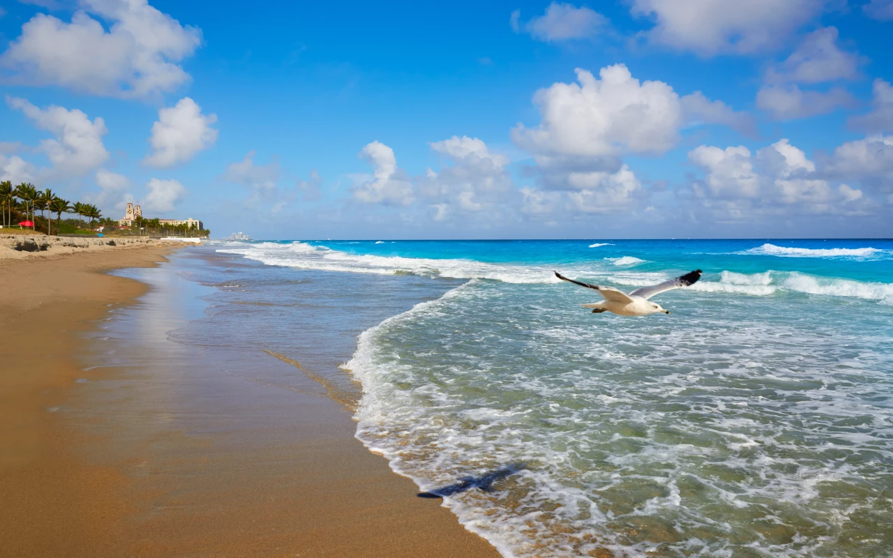 Scenic view of the beautiful Palm Beach shoreline at sunset
