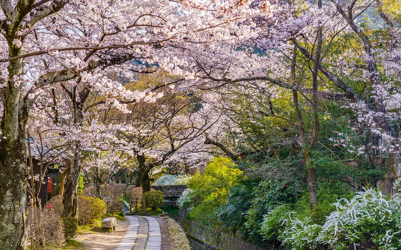 Philosopher's Walk in Kyoto, Japan - a scenic pedestrian path that follows a cherry tree-lined canal, offering beautiful views of nature and historic temples.