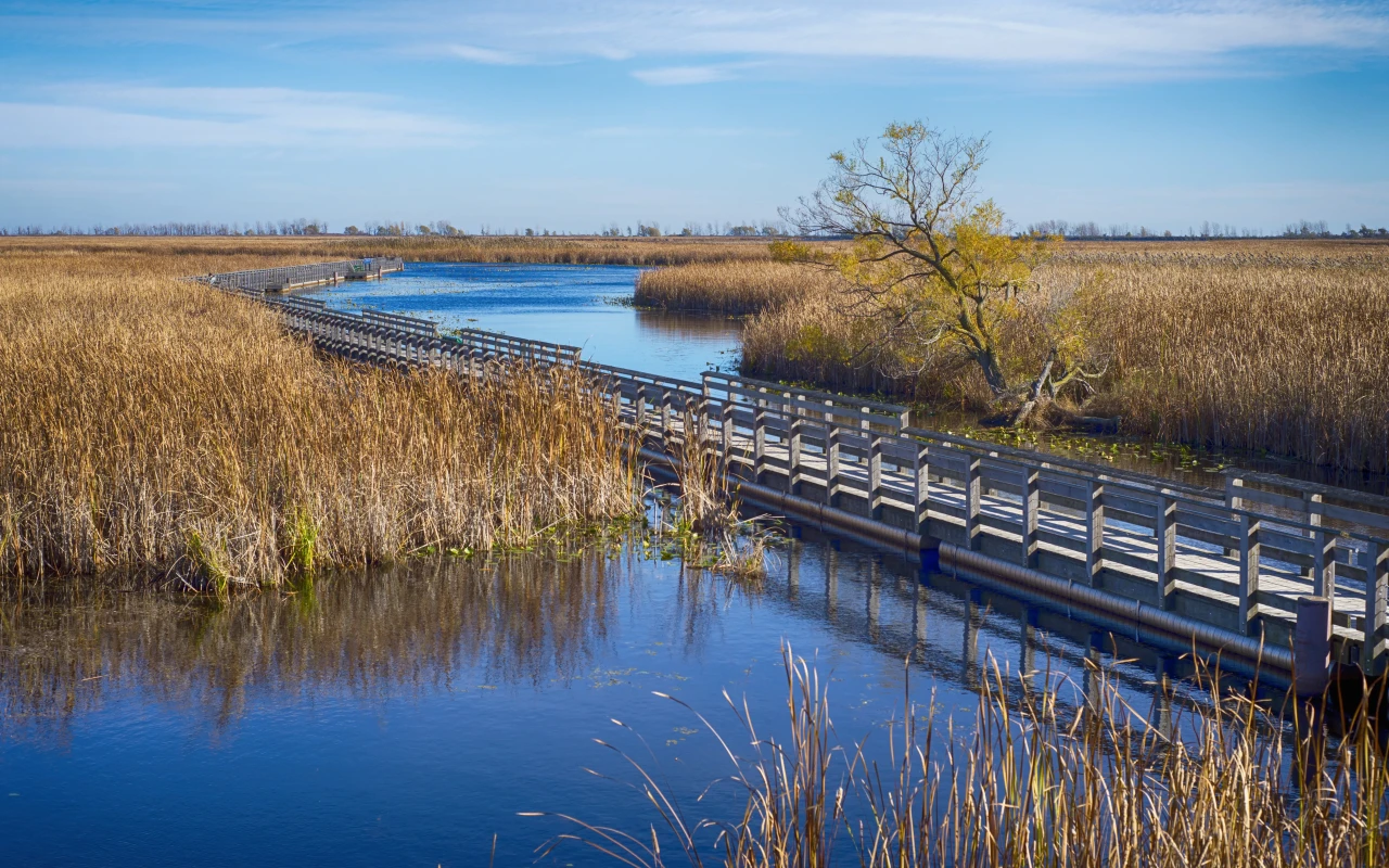 Beautiful scenic view of Point Pelee National Park