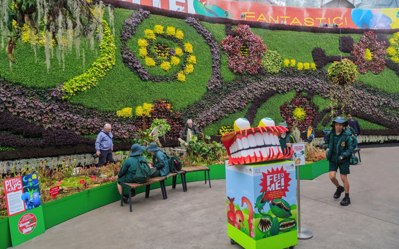 Explore the Royal Botanic Garden: Discover Sydney's Premier Green Space