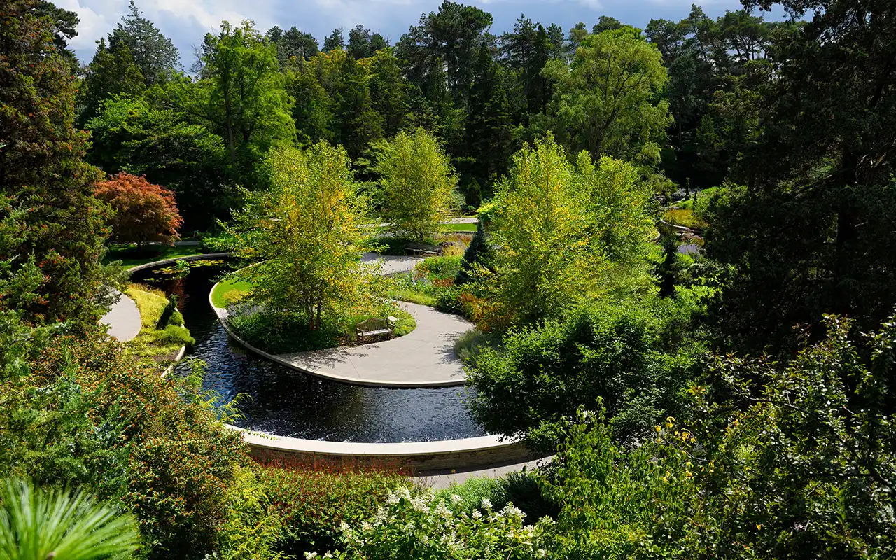 Exotic Plant Life at The Royal Botanic Gardens