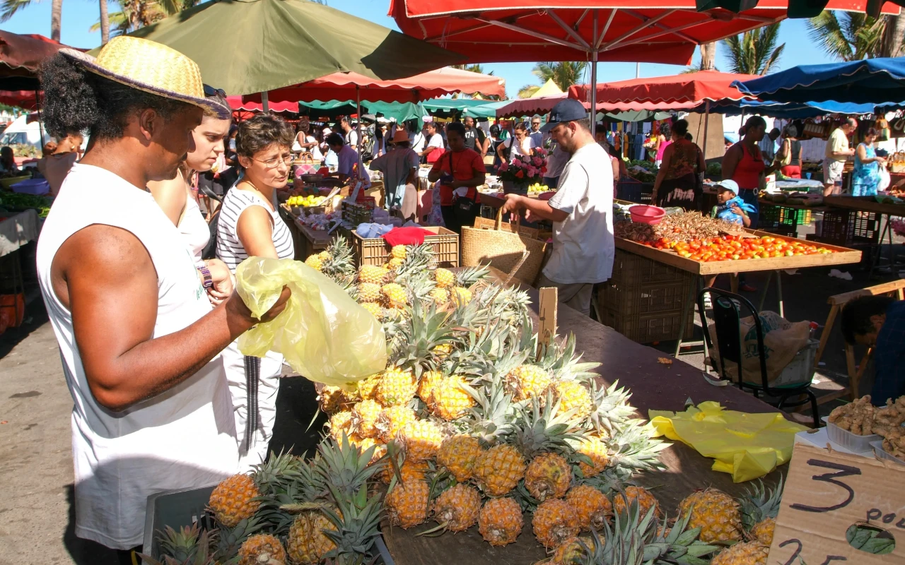 Visit Réunion: A Volcanic Island in the Indian Ocean