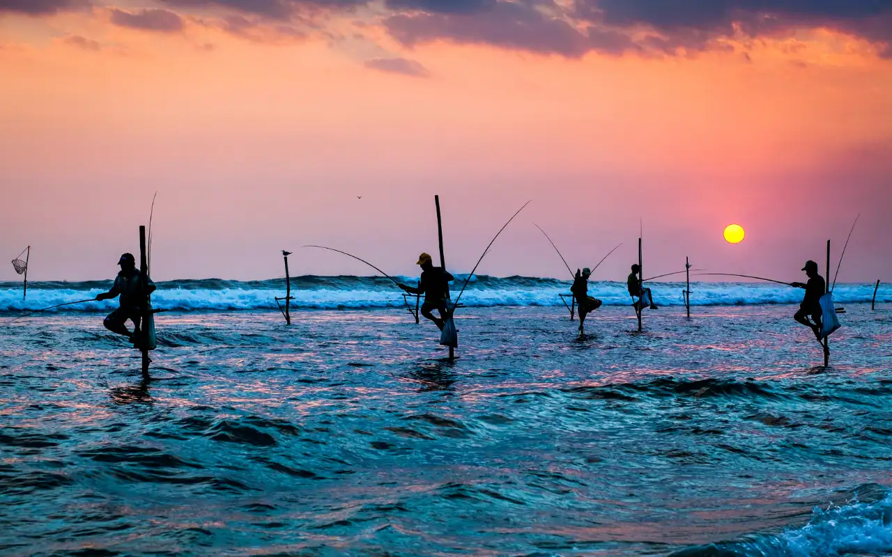 Beautiful landscape view of lush greenery in Sri Lanka