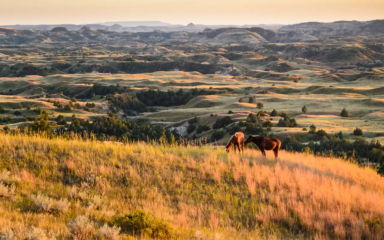 Rugged Beauty of Theodore Roosevelt National Park