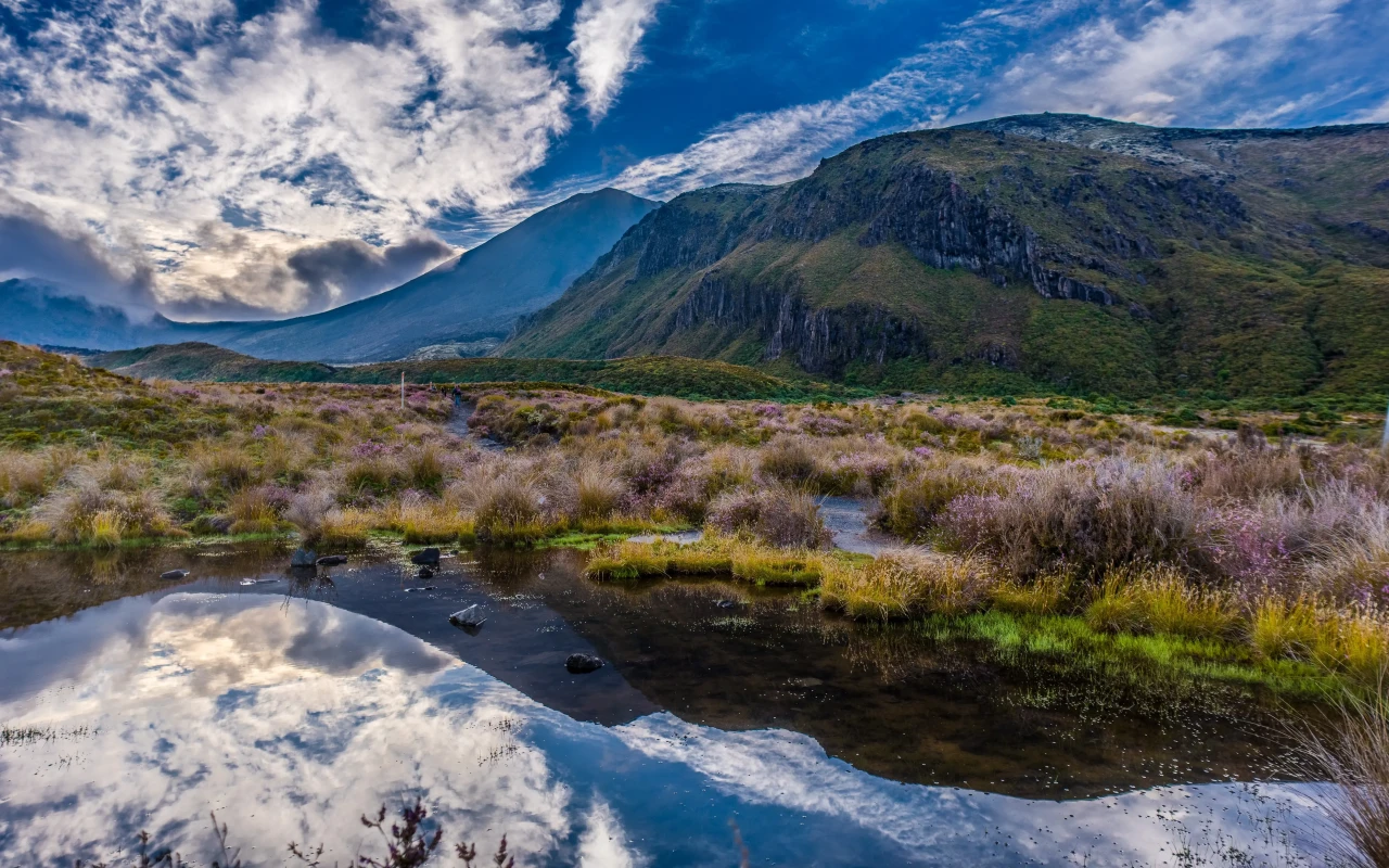 Scenic view of the diverse landscape in Tongariro National Park