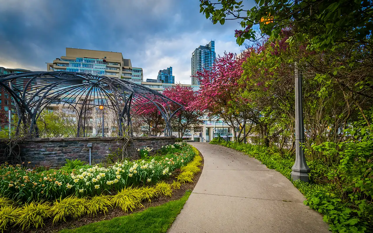 Tranquil Musical Rhythms at The Toronto Music Garden
