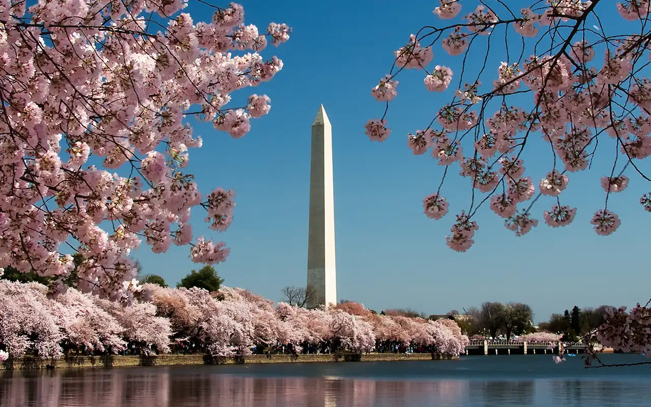 Monumental History of The Washington Monument