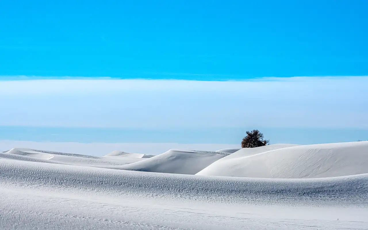 Glistening Sands of White Sands National Park