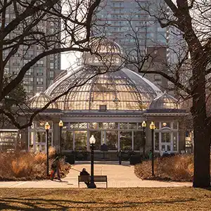 Botanical Beauty at Allan Gardens Conservatory