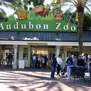 Audubon Zoo