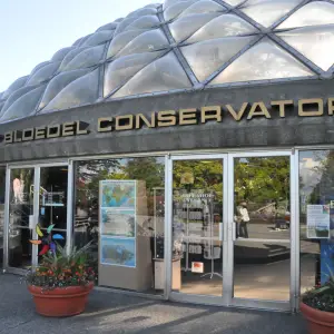 Bloedel Conservatory