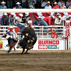 A vibrant scene at the Calgary Stampede, featuring energetic crowds, thrilling rodeo events, and festive Western-themed activities.