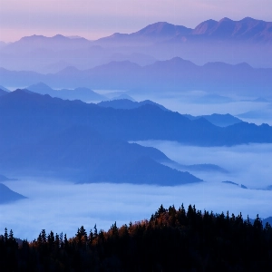 Scenic view of Great Smoky Mountains National Park with lush green forests and misty mountain peaks