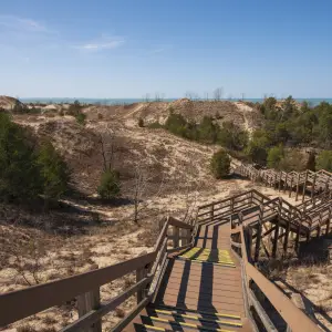 Coastal Dunes of Indiana Dunes National Park