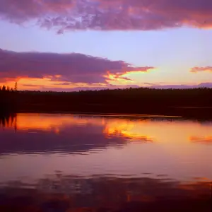 Remote Beauty of Isle Royale National Park