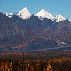 Kluane National Park