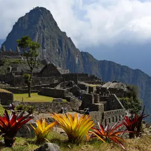 Machu Picchu ruins with vibrant flowers in the foreground and mountains in the background