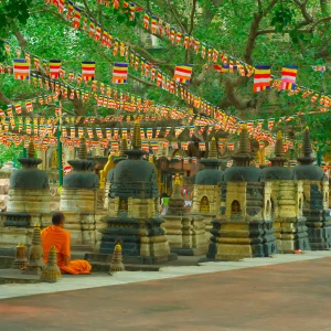 Visit the Mahabodhi Temple: A Buddhist Pilgrimage Site in India