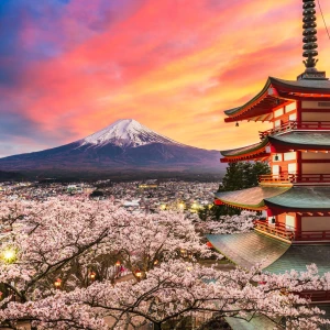 Visit Mount Fuji (Shinto Shrine and Summit): Japan