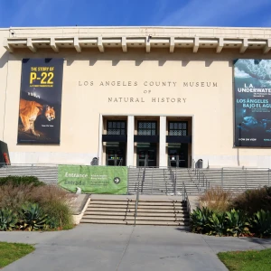 Explore the Natural History Museum of Los Angeles County: Discover Dinosaurs and More