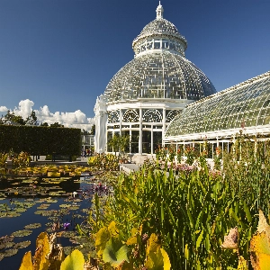 Stunning view of blooming flowers and lush greenery at the New York Botanical Garden
