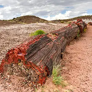 Colorful Desert of Petrified Forest National Park